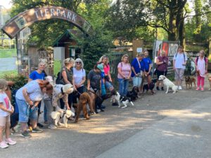 Mehr über den Artikel erfahren Ausflug der Welpen im Tierpark