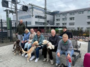 Mehr über den Artikel erfahren Welpen in der Stadt