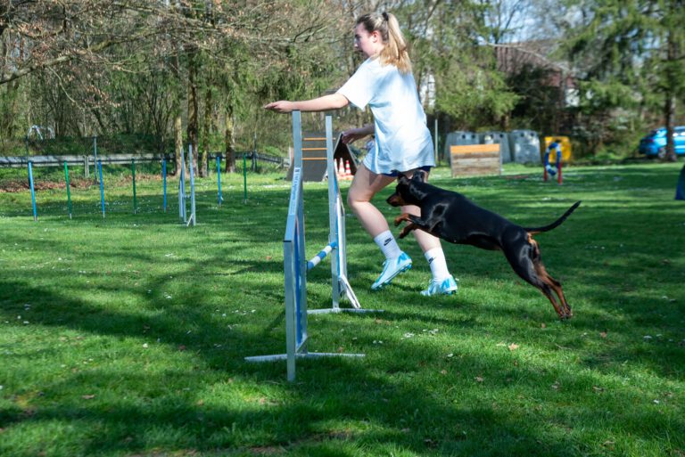 allgemein Agility_03