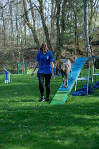 allgemein Agility_05