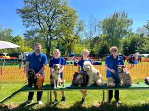 Mehr über den Artikel erfahren Agility-Turnier beim VfSuW Stuttgart