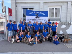 Mehr über den Artikel erfahren Festumzug beim Eislinger Stadtfest