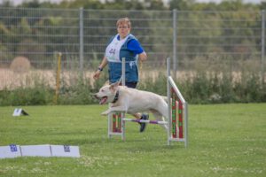 Mehr über den Artikel erfahren Rally Obedience Verbandsmeisterschaft
