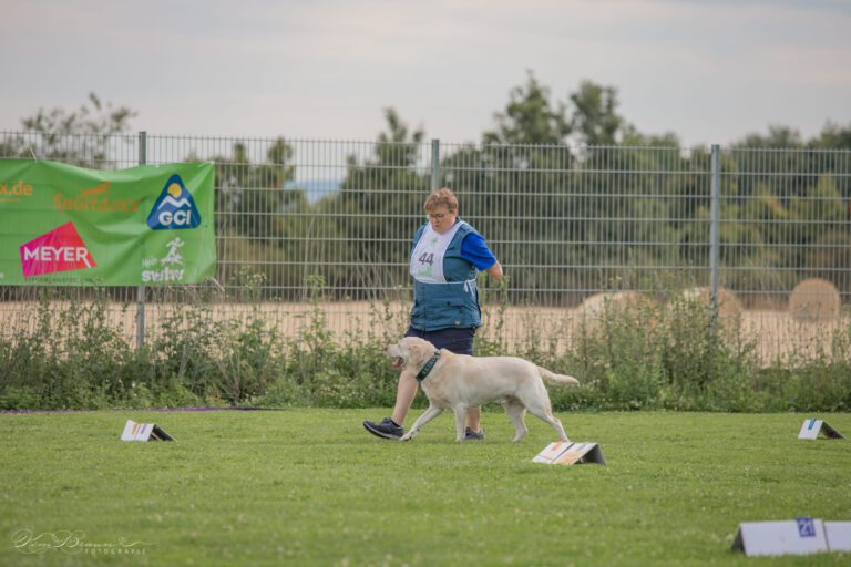 01_20250713_Rally-O