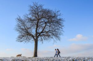 Mehr über den Artikel erfahren Winterpause 2025
