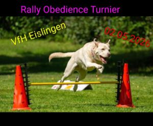 Mehr über den Artikel erfahren 2. Eislinger Rally Obedience KreiselTurnier