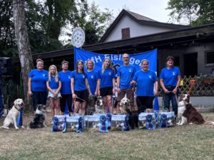Mehr über den Artikel erfahren Agility und Rally-Obedience Turnier