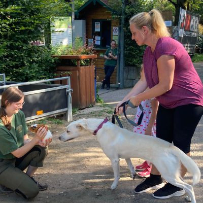 2024-07-19_Welpen Tierpark_03