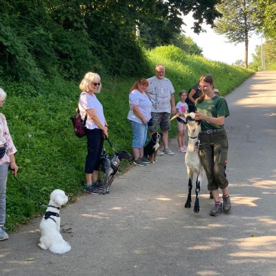 2024-07-19_Welpen Tierpark_05