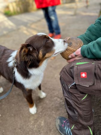 20241214_Welpen im Tierpark_01