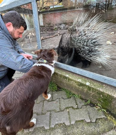 20241214_Welpen im Tierpark_06