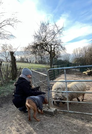 20241214_Welpen im Tierpark_07