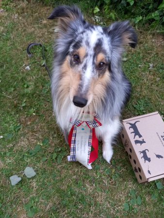 2025-05-18_Rally-Obedience_01