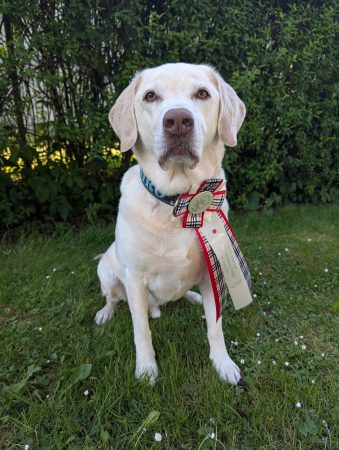 2025-05-18_Rally-Obedience_02