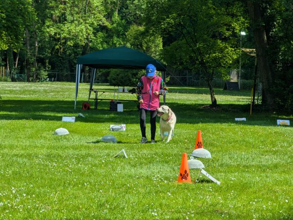 2025-05-18_Rally-Obedience_03