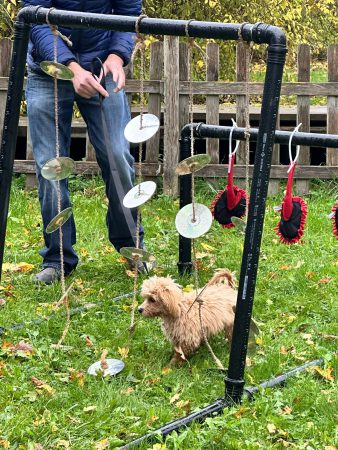 20251029_Welpengarten02