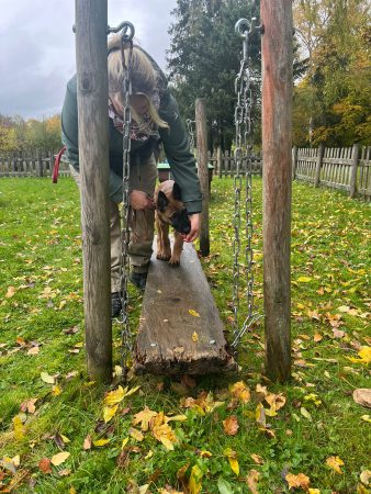 20251029_Welpengarten05