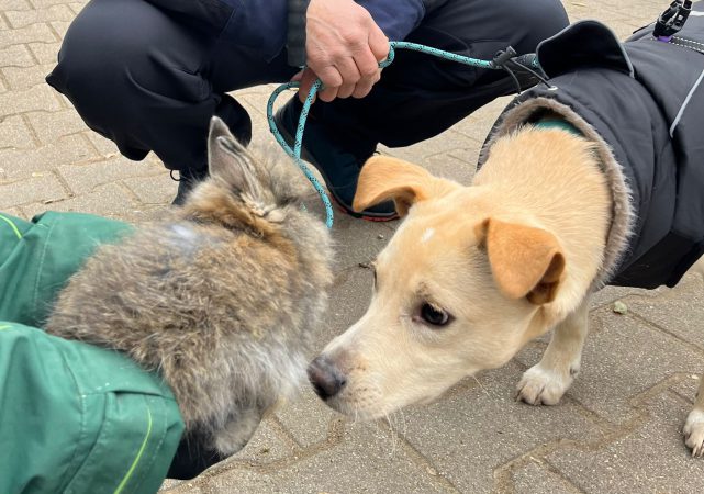 20251122_Tierpark_01