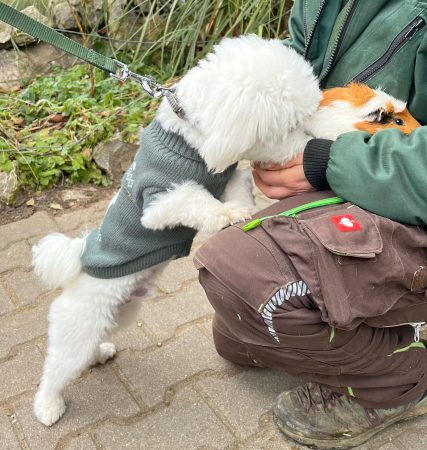20251122_Tierpark_02