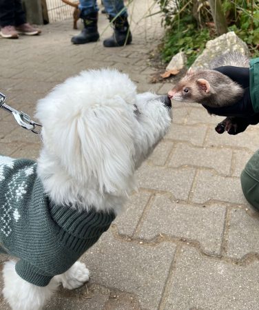 20251122_Tierpark_03