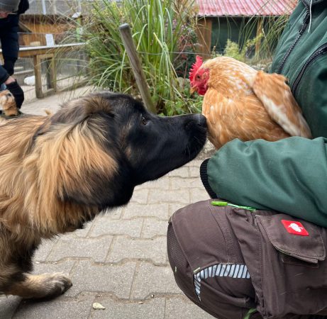 20251122_Tierpark_04