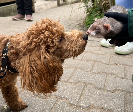 20251122_Tierpark_05
