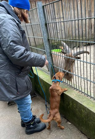 20251122_Tierpark_06