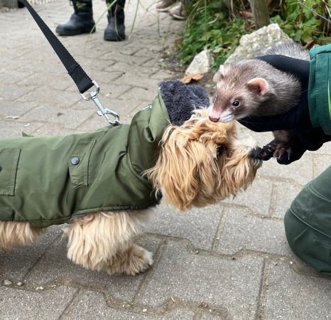 20251122_Tierpark_07