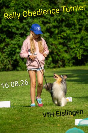 20260602_Ankündigung Turnier_03