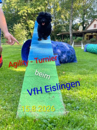 20260602_Ankündigung Turnier_04