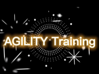 Agility-Training_01